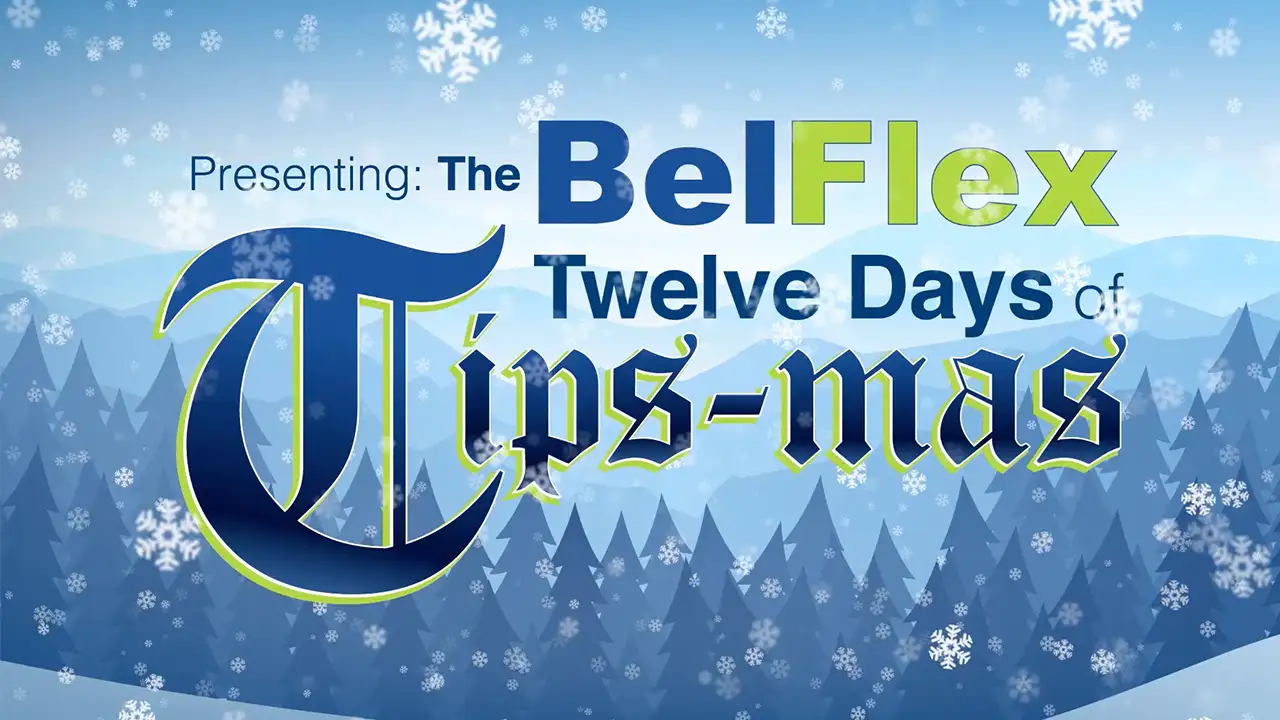BelFlex 12 Days of Tip-Mas video animation by RCi